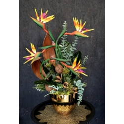 Kompozycja PREMIUM STRELICJE gumowe LUX w złotej osłonce